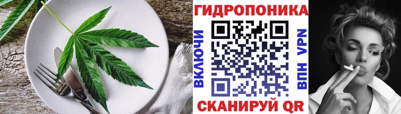 Cannafood конопля  Чернушка 