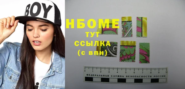 индика Медвежьегорск