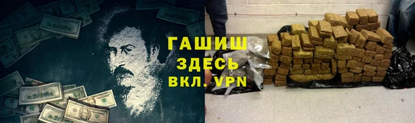 индика Медвежьегорск