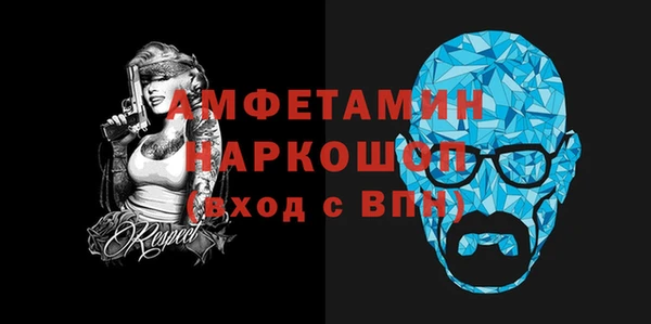 индика Медвежьегорск