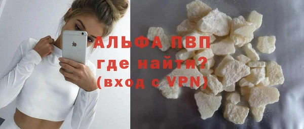 индика Медвежьегорск