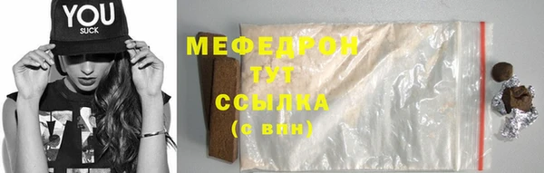 индика Медвежьегорск
