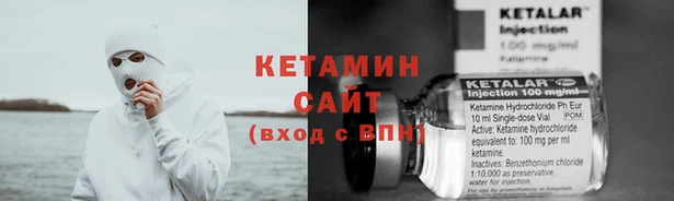 индика Медвежьегорск