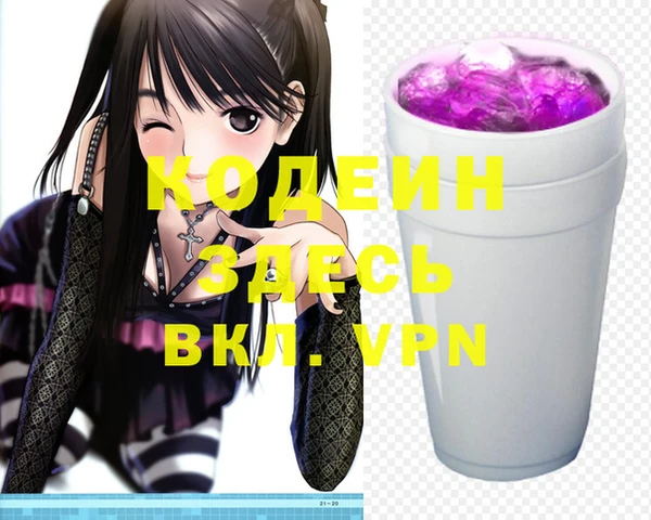 индика Медвежьегорск