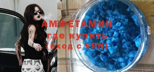 индика Медвежьегорск