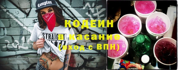 индика Медвежьегорск