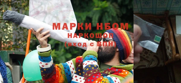 гашик Михайлов