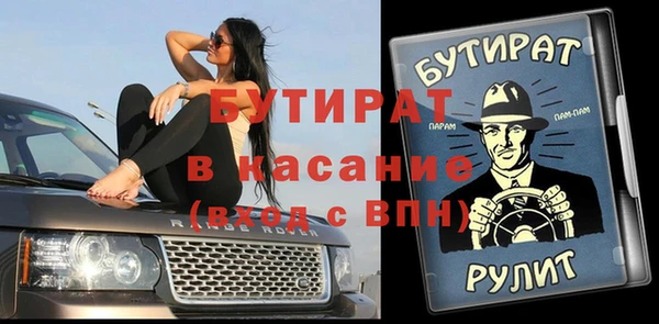 индика Медвежьегорск