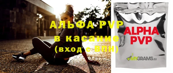 индика Медвежьегорск