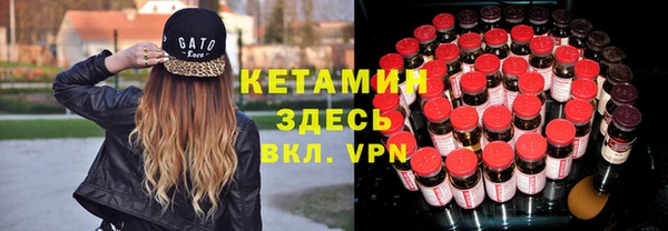 индика Медвежьегорск