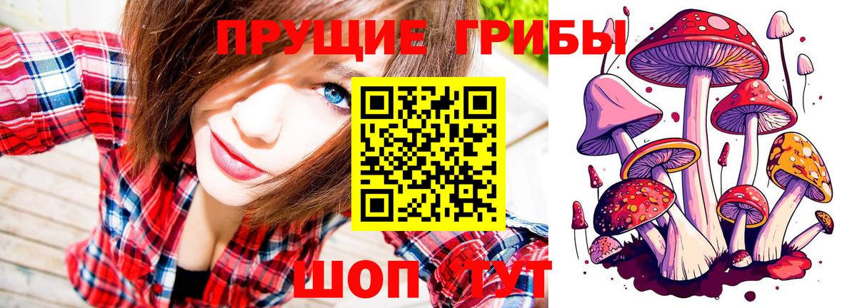 Псилоцибиновые грибы Magic Shrooms  Галлюциногенные грибы ЛСД  Чернушка  Вход с VPN 