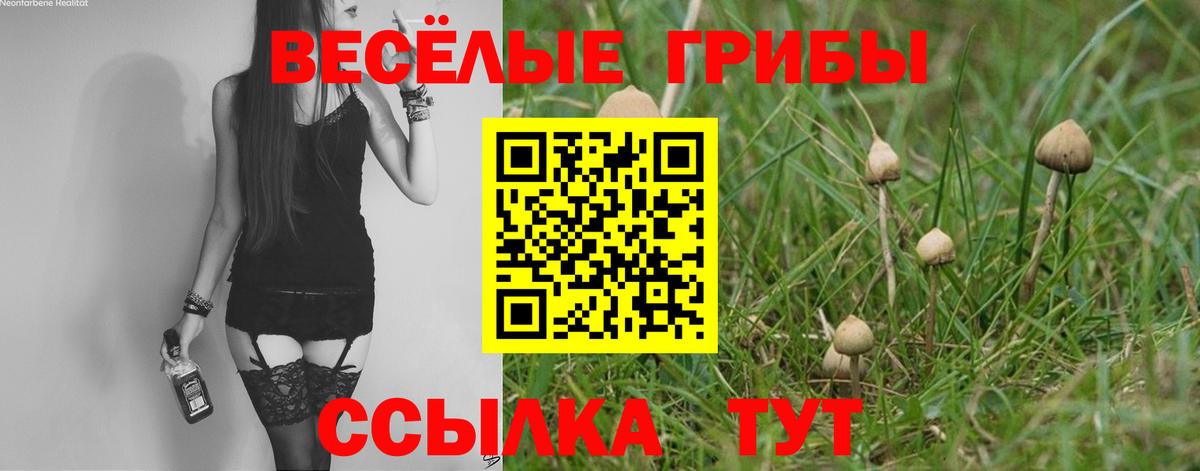 Псилоцибиновые грибы MAGIC MUSHROOMS Чернушка