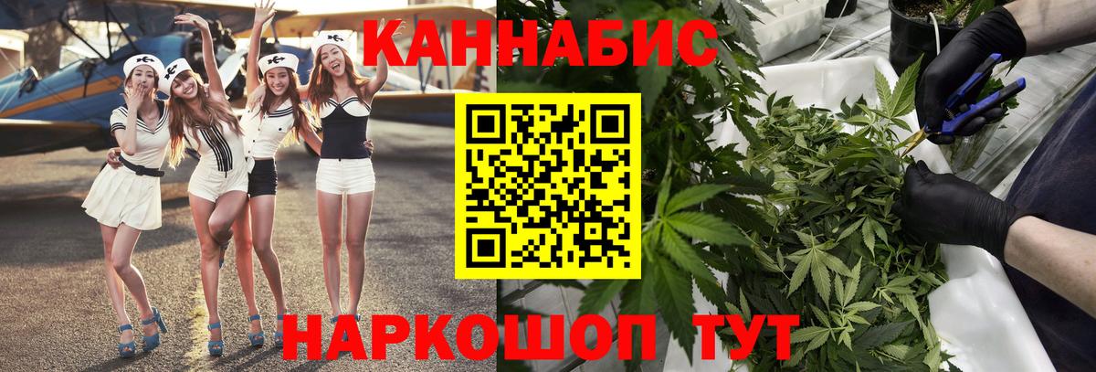 Канабис гибрид Чернушка